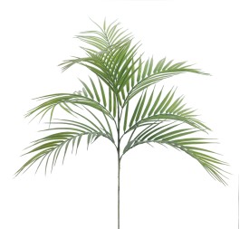 PALM X 7 69 CMS (2197-09)