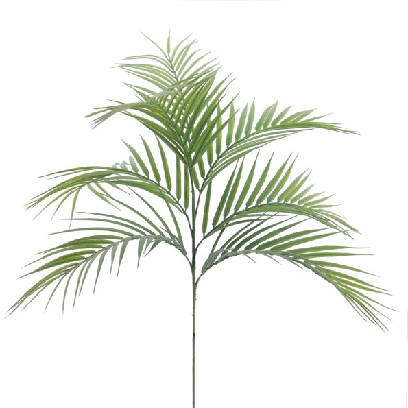 PALM X 7 69 CMS (2197-09)