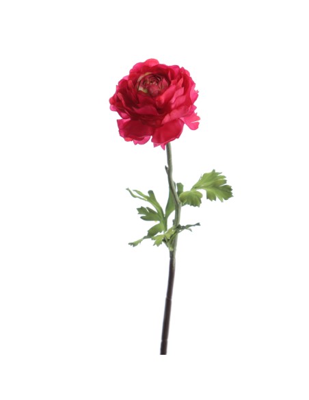 RANUNCULUS 51 CMS (2287-07)