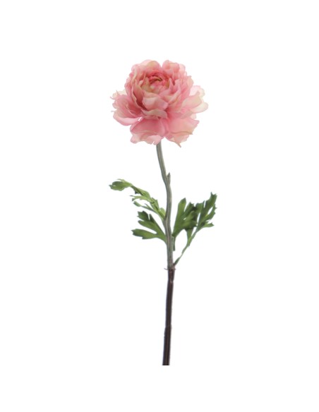 RANUNCULUS 51 CMS (2287-12)