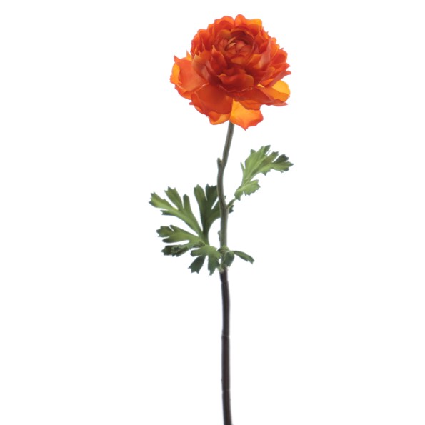 RANUNCULUS 51 CMS (2287-15)