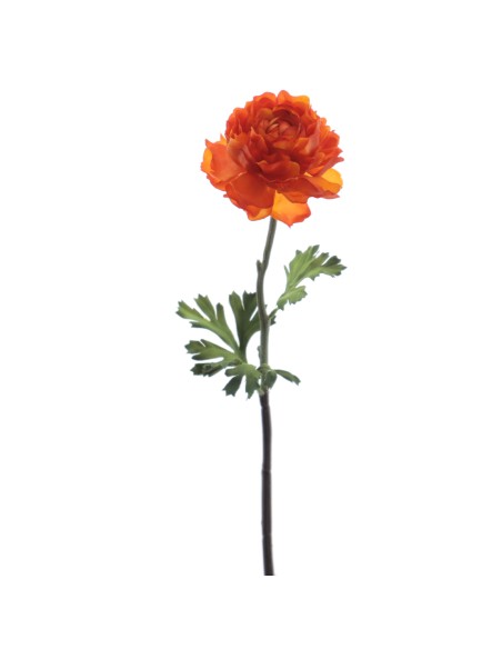 RANUNCULUS 51 CMS (2287-15)