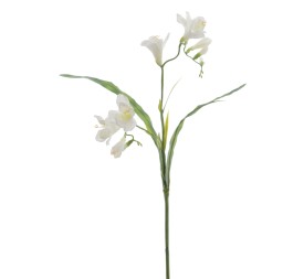 FREESIA 56 CMS (2289-01)