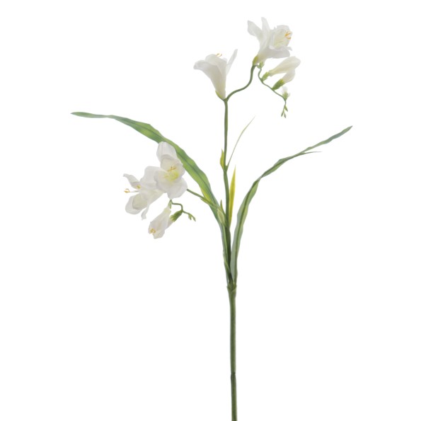 FREESIA 56 CMS (2289-01)