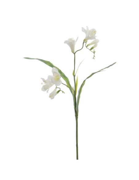 FREESIA 56 CMS (2289-01)