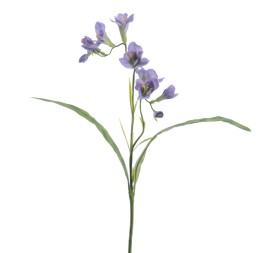 FREESIA 56 CMS (2289-74)