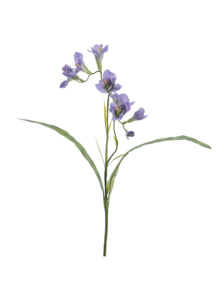 FREESIA 56 CMS (2289-74)