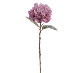 HYDRANGEA 50 CMS (2312-06)