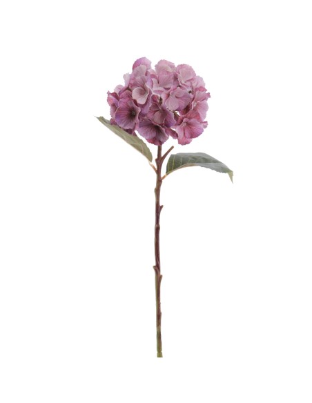 HYDRANGEA 50 CMS (2312-06)