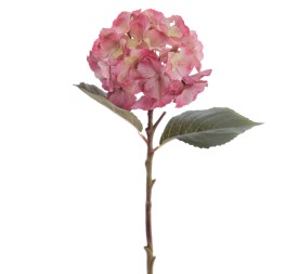 HYDRANGEA 50 CMS (2312-07)