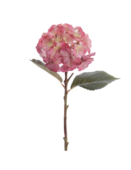 HYDRANGEA 50 CMS (2312-07)