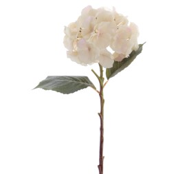 HYDRANGEA 50 CMS (2312-31)