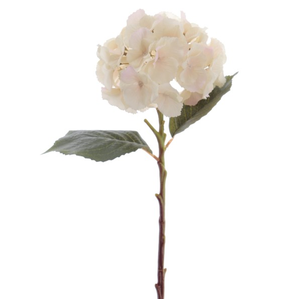 HYDRANGEA 50 CMS (2312-31)