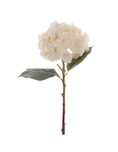 HYDRANGEA 50 CMS (2312-31)