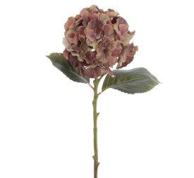 HYDRANGEA 50 CMS (2312-51)