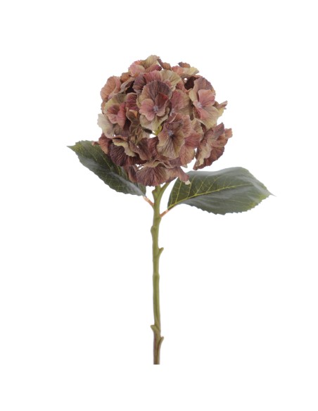 HYDRANGEA 50 CMS (2312-51)