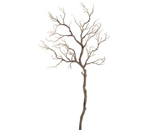 TWIG (2790-05)