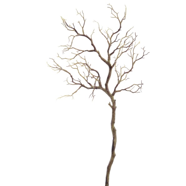 TWIG (2790-05)