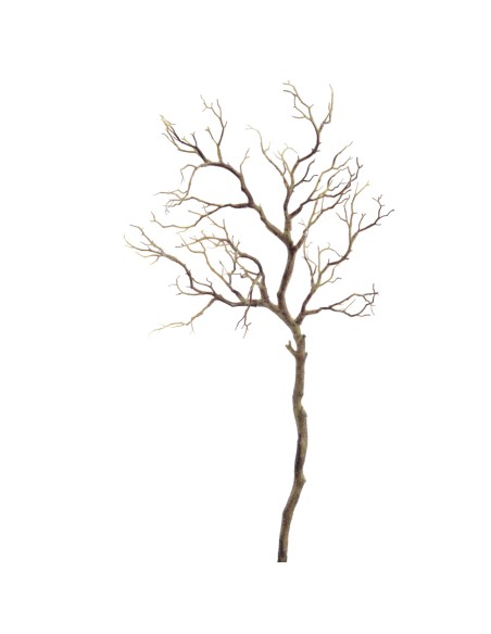 TWIG (2790-05)