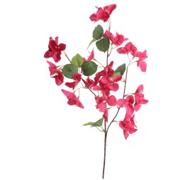 BOUGANVILLEA 56 CMS (6258-07)