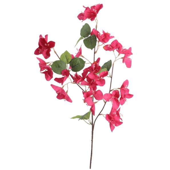 BOUGANVILLEA 56 CMS (6258-07)