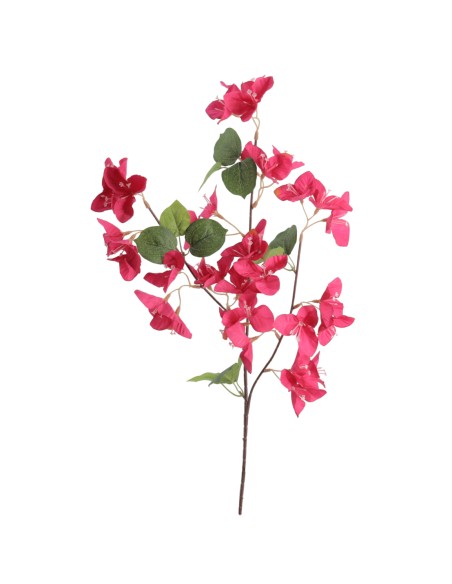 BOUGANVILLEA 56 CMS (6258-07)