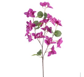 BOUGANVILLEA 56 CMS (6258-16)