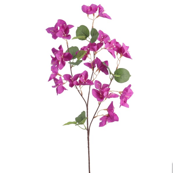 BOUGANVILLEA 56 CMS (6258-16)