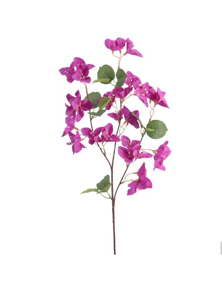 BOUGANVILLEA 56 CMS (6258-16)