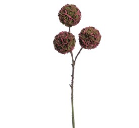SUCULENTA X 3 33 CMS (2281-07)