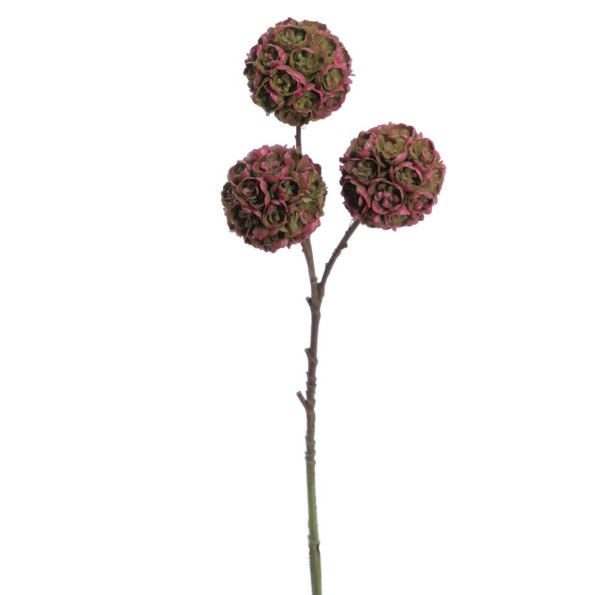 SUCULENTA X 3 33 CMS (2281-07)