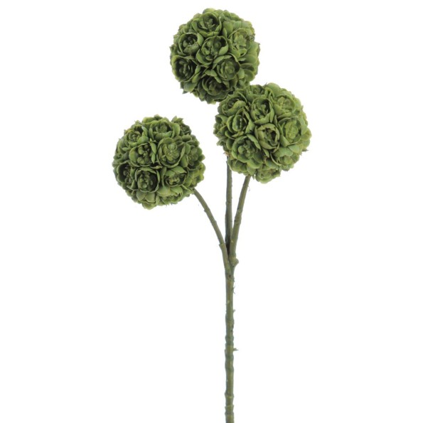 SUCULENTA X 3 33 CMS (2281-09)