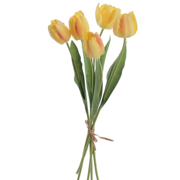 ATADO TULIPANES 50 CMS (2315-02)
