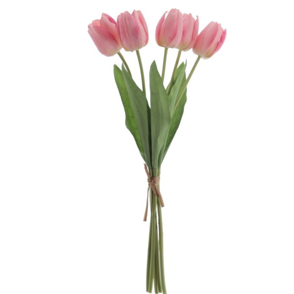 ATADO TULIPANES 50 CMS (2315-12)