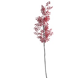 BERRY 135 CMS (NAV2519-08)