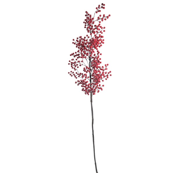 BERRY 135 CMS (NAV2519-08)