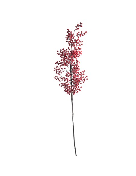 BERRY 135 CMS (NAV2519-08)