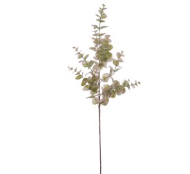 EUCALYPTUS(NAV2585-60)