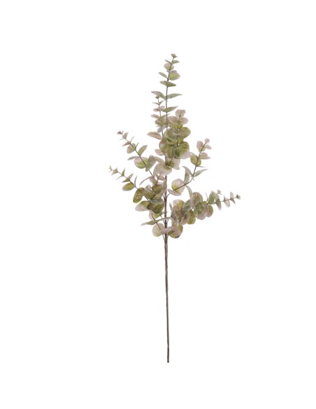EUCALYPTUS(NAV2585-60)