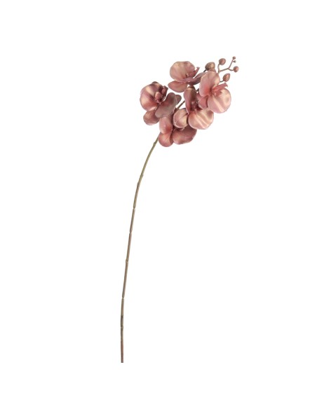 PHALENOPSIS 60 CMS (NAV2647-35)