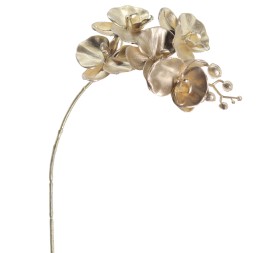 PHALENOPSIS 60 CMS (NAV2647-42)