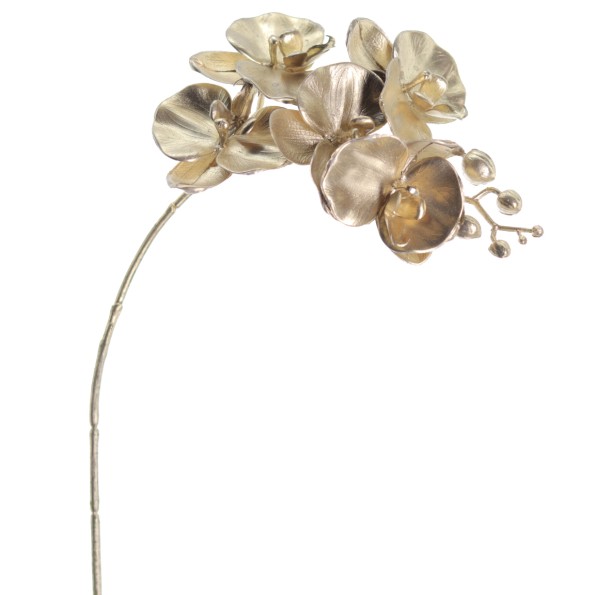 PHALENOPSIS 60 CMS (NAV2647-42)
