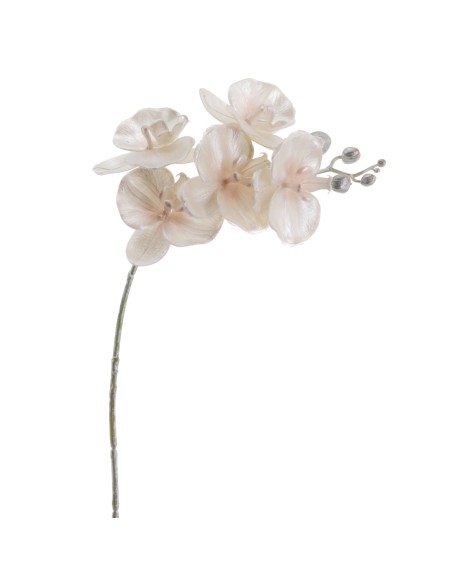 PHALENOPSIS 60 CMS (NAV2647-70)
