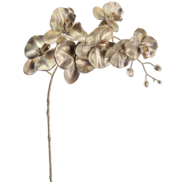 PHALENOPSIS 75 CMS (NAV2648-42)