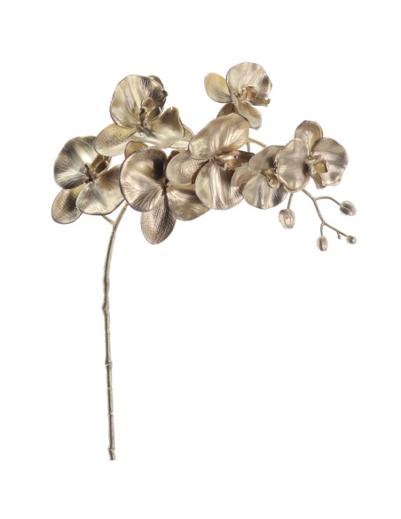 PHALENOPSIS 75 CMS (NAV2648-42)