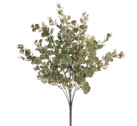 RAMO EUCALIPTUS (NAV2656-60)