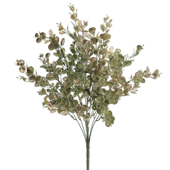 RAMO EUCALIPTUS (NAV2656-60)
