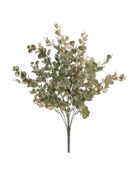 RAMO EUCALIPTUS (NAV2656-60)