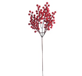 BERRY 62 CMS (NAV2661-08)