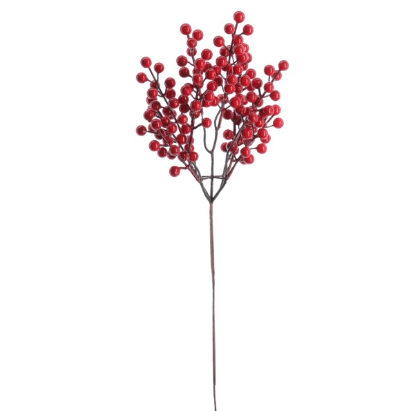 BERRY 62 CMS (NAV2661-08)